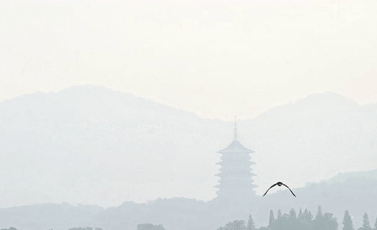 鼠寶寶取名大全2020款男孩