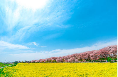 公司名稱簡(jiǎn)單大氣三個(gè)字推薦
