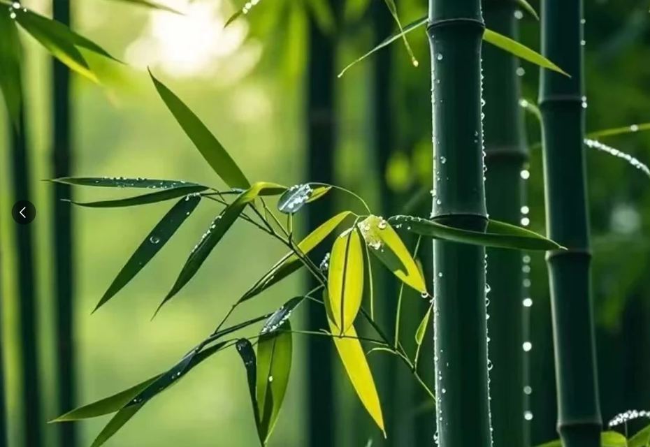 公司起名，大氣一點的公司名字