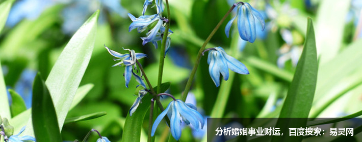 汪小菲婚內(nèi)出軌被實(shí)錘，汪小菲名字解析，打分