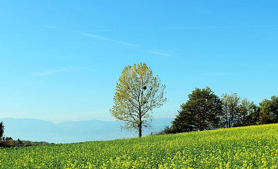 1581076173208110.png 5(260).png